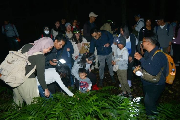 Participants observe fireflies during a biodiversity exploration activity at Bali Botanic Garden.